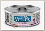 Влажный диетический корм для кошек Farmina Vet Life Cat Struvite