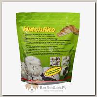 LUCKY REPTILE Субстрат для инкубации яиц рептилий " HatchRite"