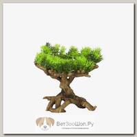 AQUA DELLA Растение для аквариумов "Florascape 11", 22х19х23.5см