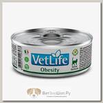 Влажный диетический корм для кошек FARMINA Vet Life Cat Obesity при ожирении паштет