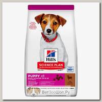 Сухой корм для щенков мелких и миниатюрных пород HILLS Science Plan Puppy S/M с ягненком