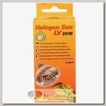 LUCKY REPTILE Лампа галогенная "Halogen Sun LV 20Вт, 2 шт"