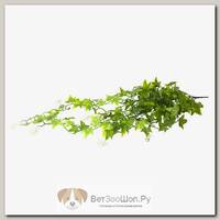 LUCKY REPTILE Декоративное растение для террариумов "Ivy Bush"