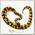 EXOPRIMA Python regius 