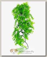 LUCKY REPTILE Декоративное растение для террариумов "Turtle Plant Ceratopteris", 40см