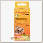 LUCKY REPTILE Лампа галогенная "Halogen Sun LV 35Вт, 2шт"