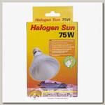 LUCKY REPTILE Лампа галогенная "Halogen Sun Spot 75Вт, E27"