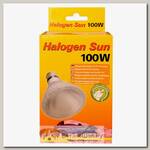 LUCKY REPTILE Лампа галогенная "Halogen Sun Spot 100Вт, E27"