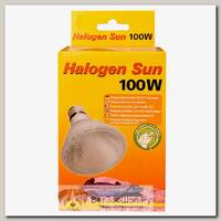 LUCKY REPTILE Лампа галогенная "Halogen Sun Spot 100Вт, E27"
