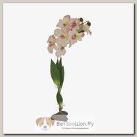 LUCKY REPTILE Декоративное растение "Orchid white"