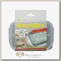 LUCKY REPTILE Контейнер для инкубации яиц "HatchBox"