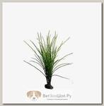 LUCKY REPTILE Растение для террариумов декоративное "Congo Grass ", 50 см