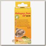 LUCKY REPTILE Лампа галогенная "Halogen Sun LV 50Вт, 2шт"