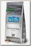 Сухой диетический корм для кастрированных котов Farmina Vet Life Neutered Male