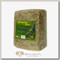 LUCKY REPTILE Мох "Sphagnum", светло-бежевый, 500гр