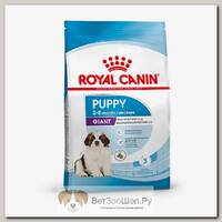 Сухой корм для щенков очень крупных пород Royal Canin "Giant" Puppy (до 8 месяцев)