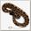 EXOPRIMA Python regius 