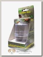 LUCKY REPTILE Террариум Инсектариум "Critter Box"