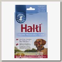 Недоуздок для собак COA "HALTI OptiFit", S