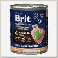 Влажный корм BRIT Adult для взрослых собак, с индейкой и уткой