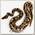EXOPRIMA Python regius 