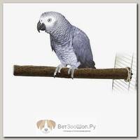 HAPPY BIRD Жердь деревянная для птиц