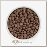 Сухой корм GRANDORF Medium&Maxi Adult Turkey, для собак средних и крупных пород, индейка