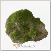 AQUA DELLA Декоративный камень с мхом для аквариума "Moss Stone", 16x11x11см