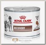 ROYAL CANIN Recovery Корм влаж.диет д/кошек и собак при липидозе печени конс.195г