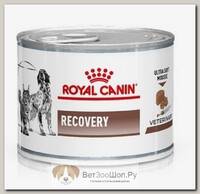 ROYAL CANIN Recovery Корм влаж.диет д/кошек и собак при липидозе печени конс.195г