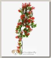LUCKY REPTILE Декоративное растение для террариумов "Turtle Plant Ludwigia", 40см