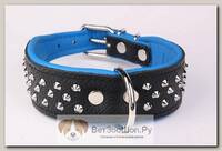 ZOOLESZCZ Ошейник для собак "Studs", черно-голубой