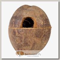 LUCKY REPTILE Укрытие для рептилий, кокосовый домик "COCO BOX", 20.5x17x17см
