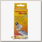 LUCKY REPTILE Лампа галогенная "Halogen Sun Mini 50Вт, E27"
